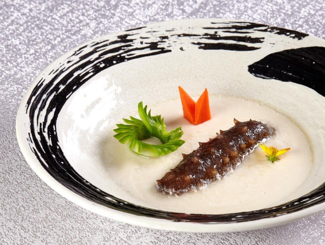 Sea Cucumber